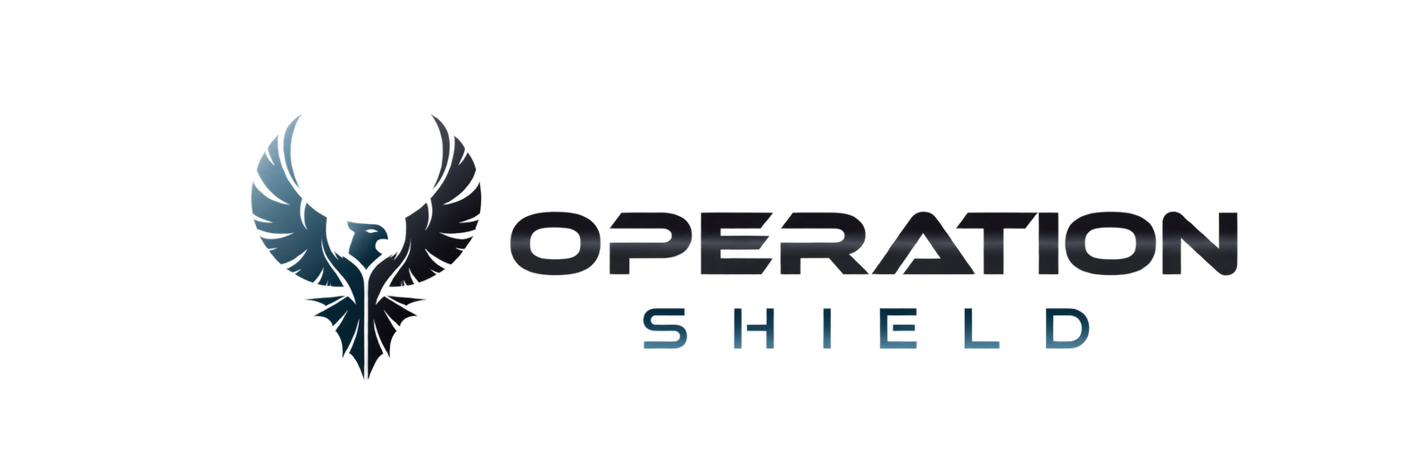 Operation Shield